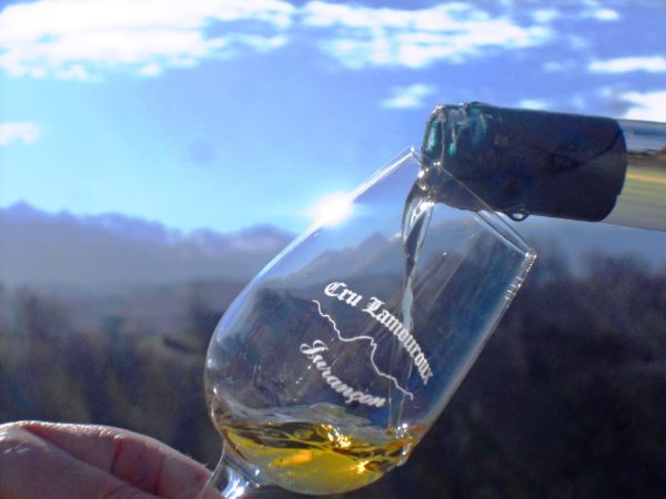 A glass of Cru Lamouroux full of sunlight – Jurançon A glass of Cru Lamouroux full of sunlight - Jurançon